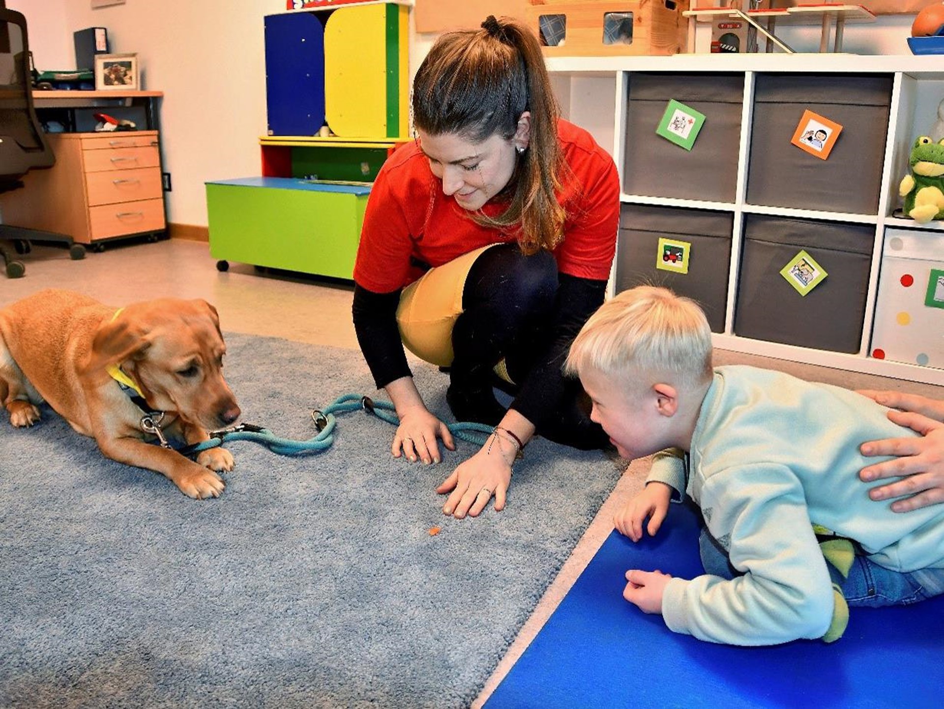 Mitarbeiterin in der Hocke und ein  Kind, das auf dem Boden liegt, schauen einen Hund an, der ebenfalls auf dem Boden liegt